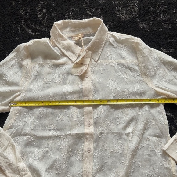 Elegant Cream Button-Up Blouse - Picture 10 of 14